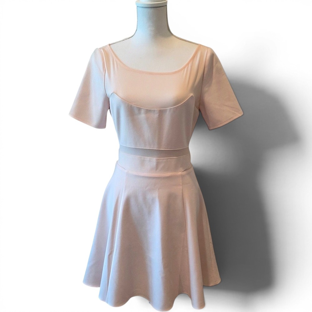 NWT Elizabeth and James Mesh Cutout Fit & Flare Dress Short Sleeve Pink Pastel 8